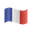 French Flag