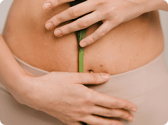 Digestion