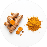Curcuma