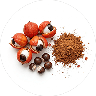 Guarana