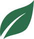 Feuille verte
